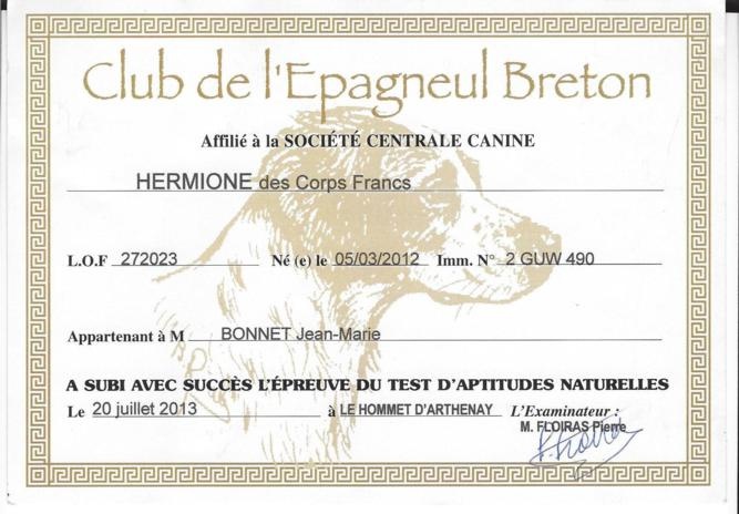 Hermione Des Corps Francs